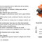 smussi-regolabile-694018